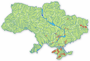 Ellobius talpinus range in Ukraine (after Korobchenko & Kondratenko 2009