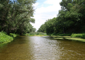 типовий біотоп видри, річка Деркул, фото Віктора Радченка